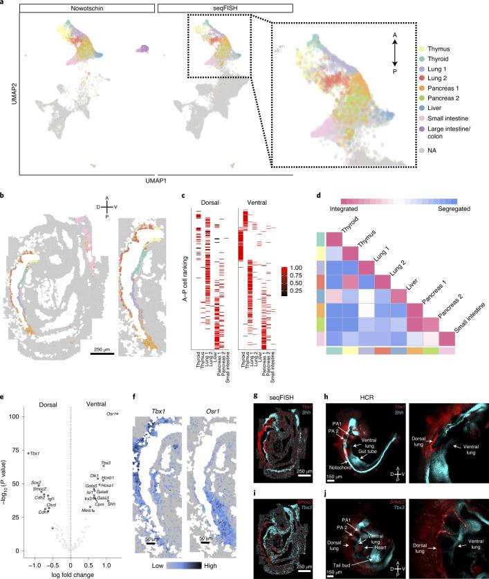 https://cdn.ncbi.nlm.nih.gov/pmc/blobs/5ea7/8763645/90f88c022a90/41587_2021_1006_Fig4_HTML.jpg