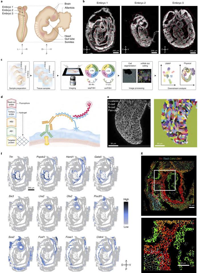 https://cdn.ncbi.nlm.nih.gov/pmc/blobs/5ea7/8763645/d1b27e5ab891/41587_2021_1006_Fig1_HTML.jpg