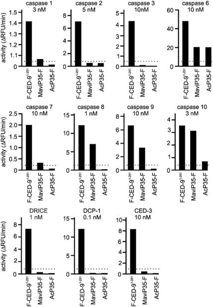 https://cdn.ncbi.nlm.nih.gov/pmc/blobs/5ea9/3252740/b40454f434fc/cddis2011127f5.jpg