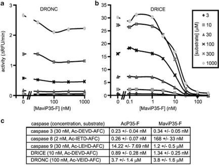 https://cdn.ncbi.nlm.nih.gov/pmc/blobs/5ea9/3252740/eb8d54203697/cddis2011127f7.jpg
