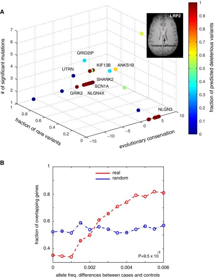 https://cdn.ncbi.nlm.nih.gov/pmc/blobs/5ea9/4300495/2a5a3140277e/msb0010-0774-f2.jpg