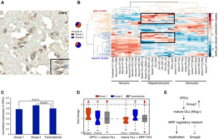 https://cdn.ncbi.nlm.nih.gov/pmc/blobs/5ea9/4300495/7f0707f99c31/msb0010-0774-f4.jpg