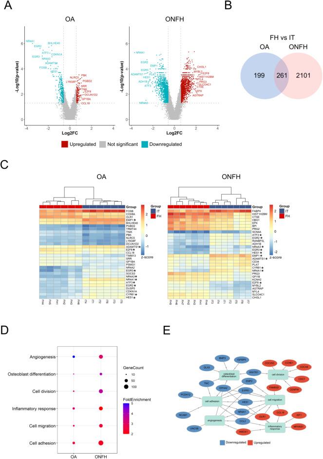 https://cdn.ncbi.nlm.nih.gov/pmc/blobs/5eaa/11978847/6012a69978c5/41598_2025_96726_Fig4_HTML.jpg
