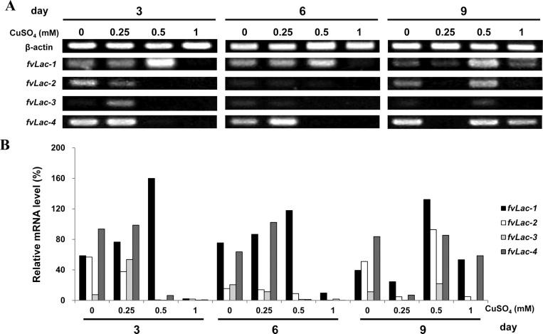 https://cdn.ncbi.nlm.nih.gov/pmc/blobs/5eac/4298835/33add614b738/mb-42-322-g005.jpg