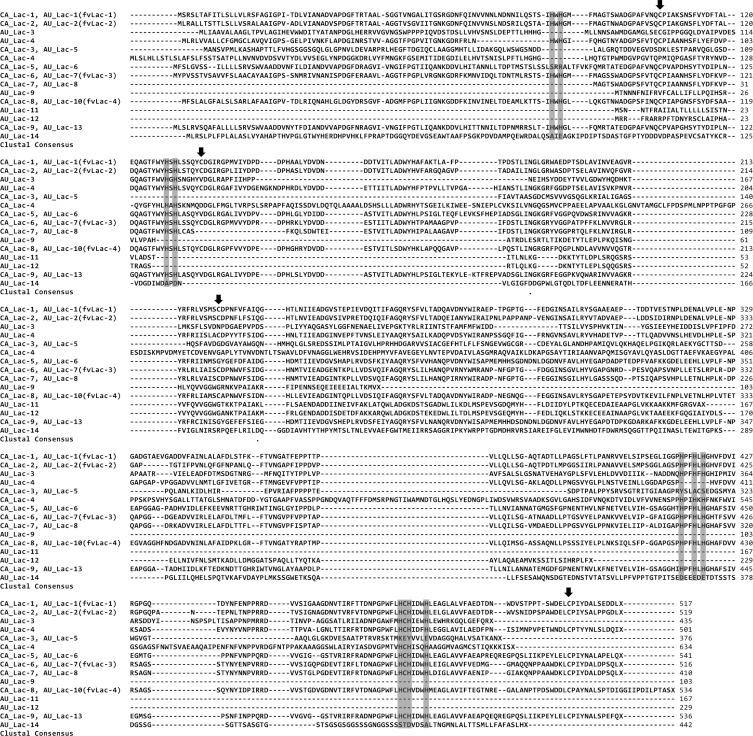 https://cdn.ncbi.nlm.nih.gov/pmc/blobs/5eac/4298835/7c43cc87078e/mb-42-322-g001.jpg