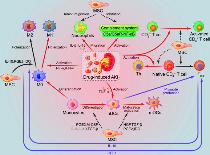 https://cdn.ncbi.nlm.nih.gov/pmc/blobs/5eac/8213363/cf353786ea4e/fimmu-12-683003-g001.jpg