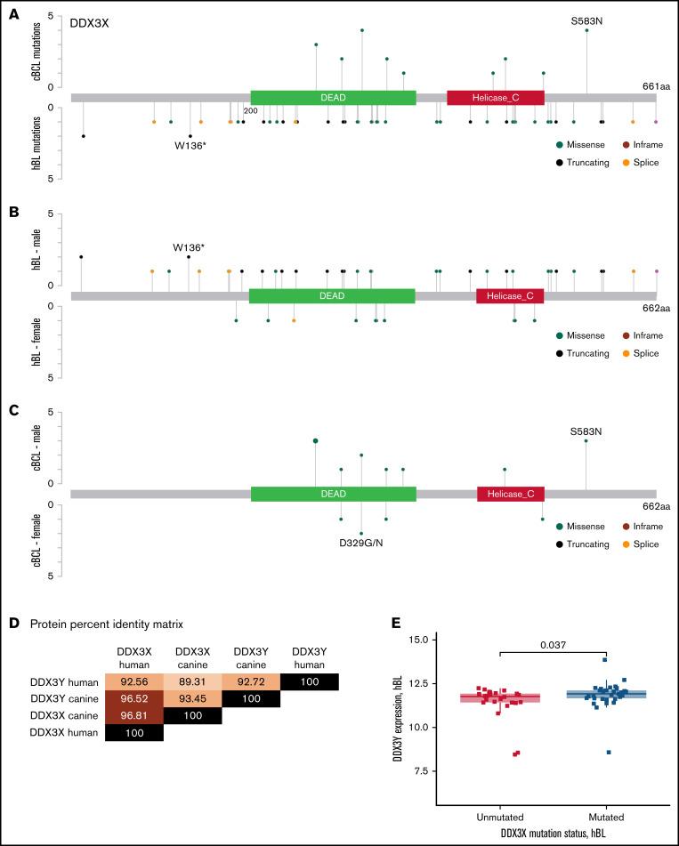 https://cdn.ncbi.nlm.nih.gov/pmc/blobs/5eac/9198934/082d090d81b5/advancesADV2021006429f2.jpg