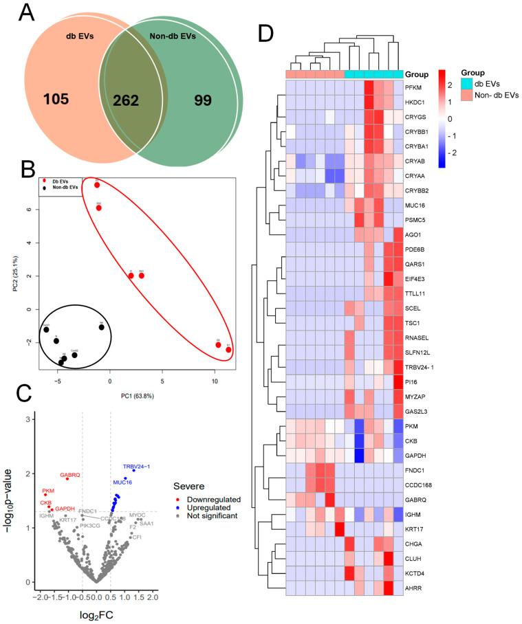 https://cdn.ncbi.nlm.nih.gov/pmc/blobs/5ead/11428929/d52da2f6a961/biomedicines-12-02053-g004.jpg