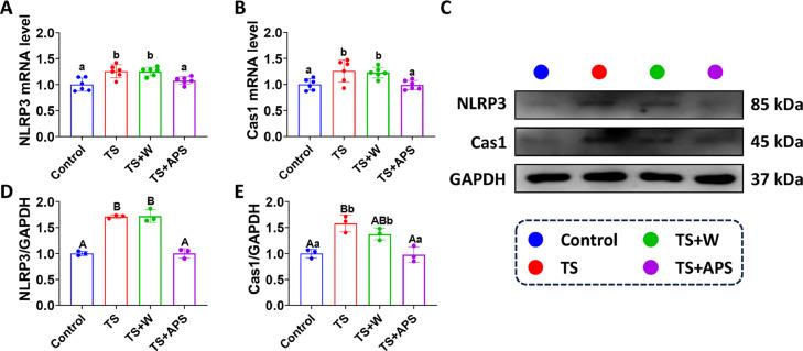 https://cdn.ncbi.nlm.nih.gov/pmc/blobs/5eae/11001779/1ac3506a6954/gr6.jpg