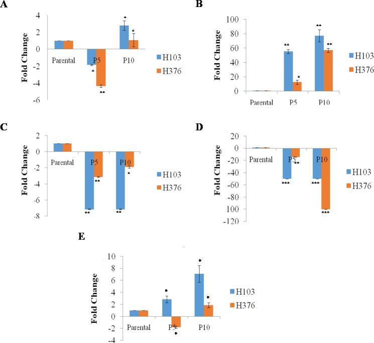 https://cdn.ncbi.nlm.nih.gov/pmc/blobs/5eae/5392249/71cc4d013e71/peerj-05-3174-g003.jpg