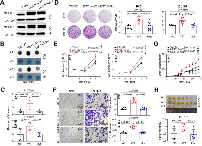 https://cdn.ncbi.nlm.nih.gov/pmc/blobs/5eaf/11455910/6fc64c18b025/18_2024_5418_Figc_HTML.jpg