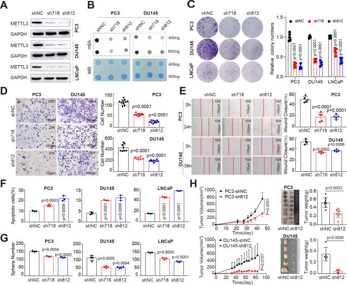 https://cdn.ncbi.nlm.nih.gov/pmc/blobs/5eaf/11455910/b730d2b3ca60/18_2024_5418_Figb_HTML.jpg