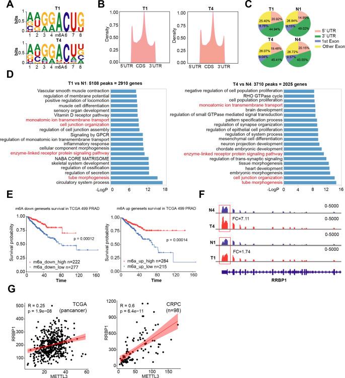 https://cdn.ncbi.nlm.nih.gov/pmc/blobs/5eaf/11455910/d2b109a2e633/18_2024_5418_Figf_HTML.jpg