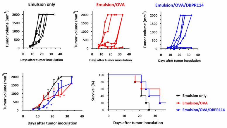 https://cdn.ncbi.nlm.nih.gov/pmc/blobs/5eaf/8308410/6dd711af07ce/nanomaterials-11-01844-g002.jpg