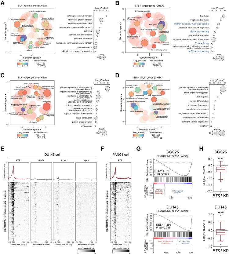 https://cdn.ncbi.nlm.nih.gov/pmc/blobs/5eb0/11834782/60d346f679f0/TACS_A_2465325_F0003_OC.jpg