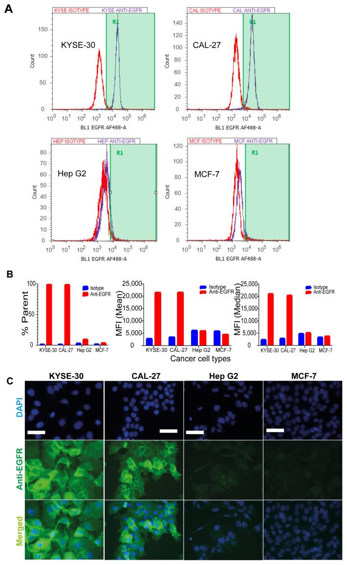 https://cdn.ncbi.nlm.nih.gov/pmc/blobs/5eb2/8537270/c78f02622166/pharmaceutics-13-01651-g002.jpg