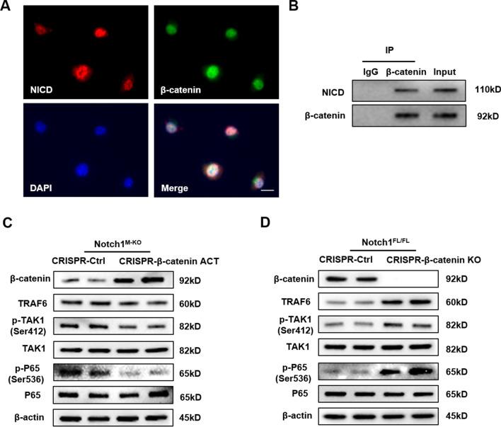 https://cdn.ncbi.nlm.nih.gov/pmc/blobs/5eb2/9479434/694d30c7501e/12964_2022_901_Fig5_HTML.jpg