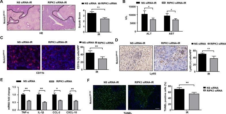 https://cdn.ncbi.nlm.nih.gov/pmc/blobs/5eb2/9479434/cda85200d8cd/12964_2022_901_Fig4_HTML.jpg