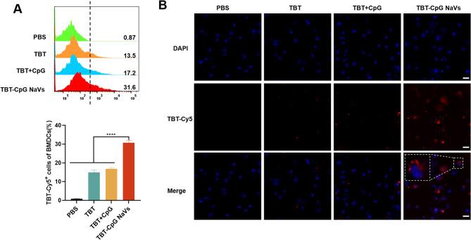 https://cdn.ncbi.nlm.nih.gov/pmc/blobs/5eb4/11603839/0061eaac7e2a/12951_2024_3031_Fig2_HTML.jpg