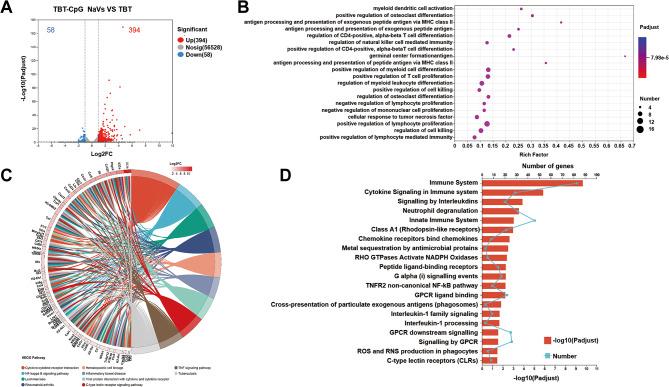 https://cdn.ncbi.nlm.nih.gov/pmc/blobs/5eb4/11603839/639a06de245e/12951_2024_3031_Fig4_HTML.jpg