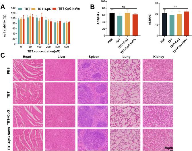 https://cdn.ncbi.nlm.nih.gov/pmc/blobs/5eb4/11603839/ab25ffe029e6/12951_2024_3031_Fig6_HTML.jpg