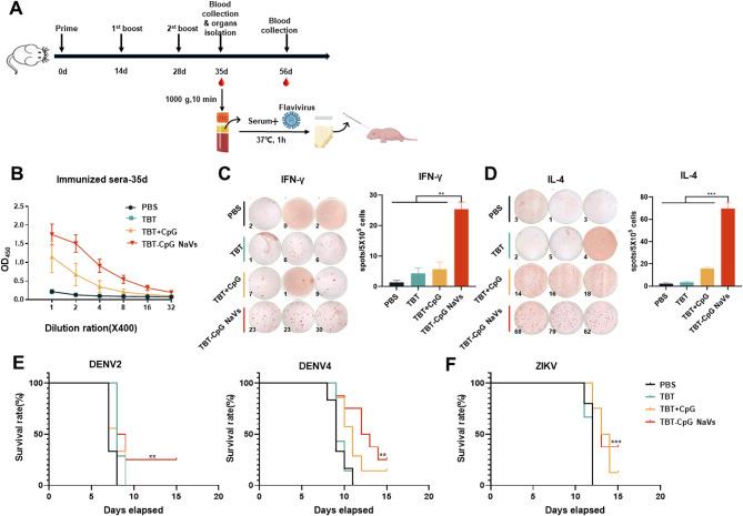 https://cdn.ncbi.nlm.nih.gov/pmc/blobs/5eb4/11603839/af5613753b91/12951_2024_3031_Fig5_HTML.jpg