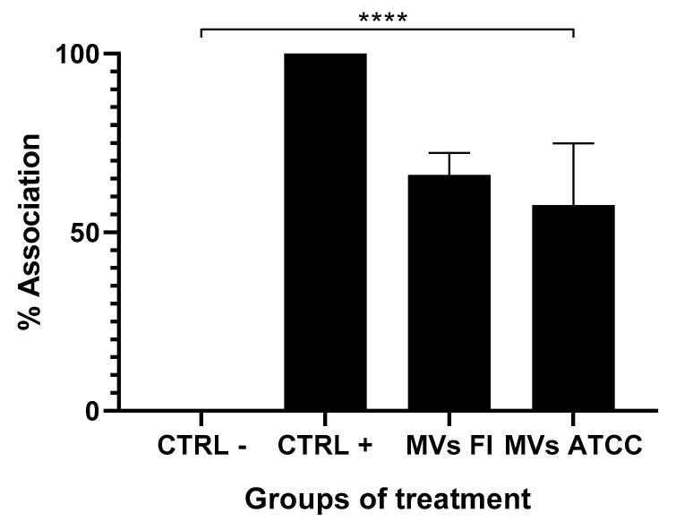 https://cdn.ncbi.nlm.nih.gov/pmc/blobs/5eb5/12196092/a334d3428da1/microorganisms-13-01341-g003.jpg