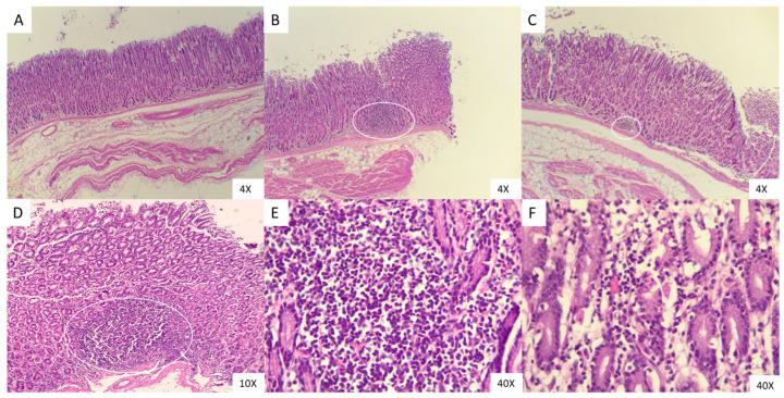 https://cdn.ncbi.nlm.nih.gov/pmc/blobs/5eb5/12196092/baf317d944db/microorganisms-13-01341-g004.jpg