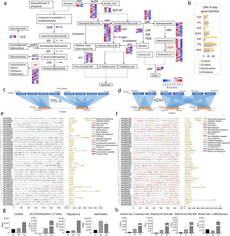 https://cdn.ncbi.nlm.nih.gov/pmc/blobs/5eb6/7794574/179a2059c39b/41438_2020_455_Fig5_HTML.jpg