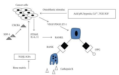 https://cdn.ncbi.nlm.nih.gov/pmc/blobs/5eb8/3087974/ac3afcc1ff7a/SRCM2011-959248.002.jpg