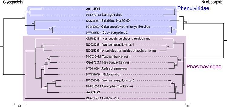 https://cdn.ncbi.nlm.nih.gov/pmc/blobs/5ebb/10460169/c996455bdfd3/vead041f4.jpg