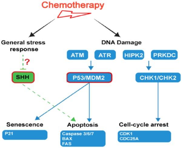 https://cdn.ncbi.nlm.nih.gov/pmc/blobs/5ebb/6475836/596a7ce19419/10.1177_1177271919842180-fig3.jpg