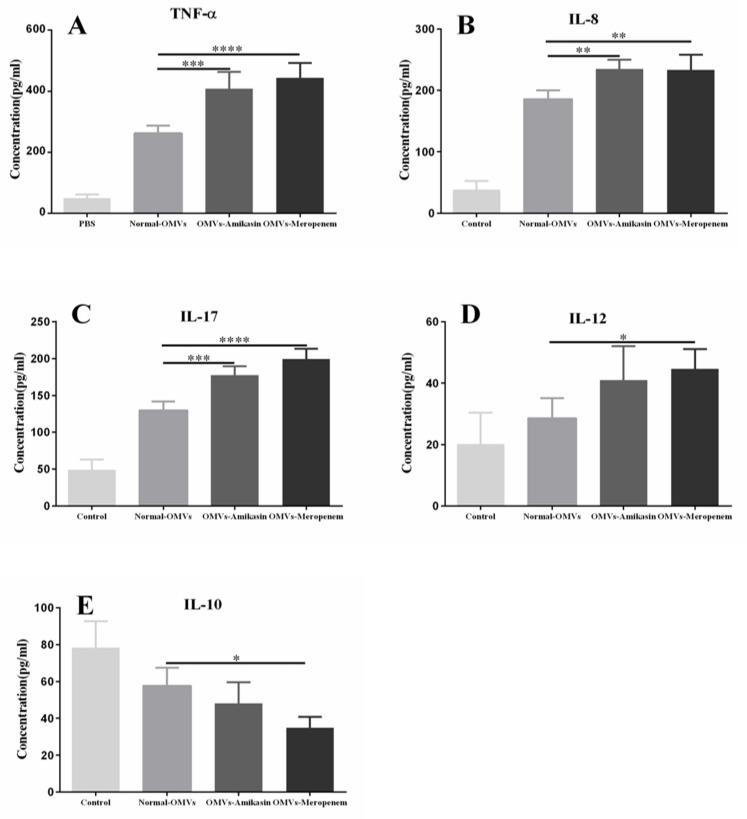 https://cdn.ncbi.nlm.nih.gov/pmc/blobs/5ebd/8816698/2926facc483b/IJM-13-824-g005.jpg