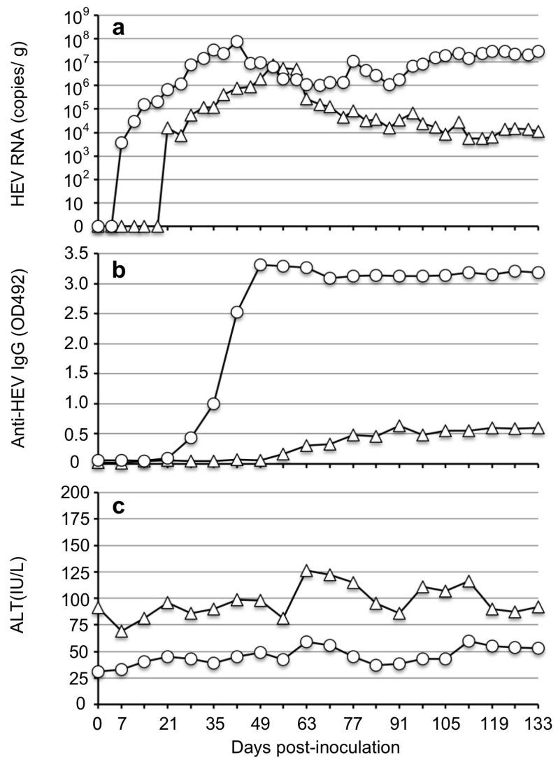 https://cdn.ncbi.nlm.nih.gov/pmc/blobs/5ec1/10303493/f4f94393f72d/viruses-15-01322-g004.jpg