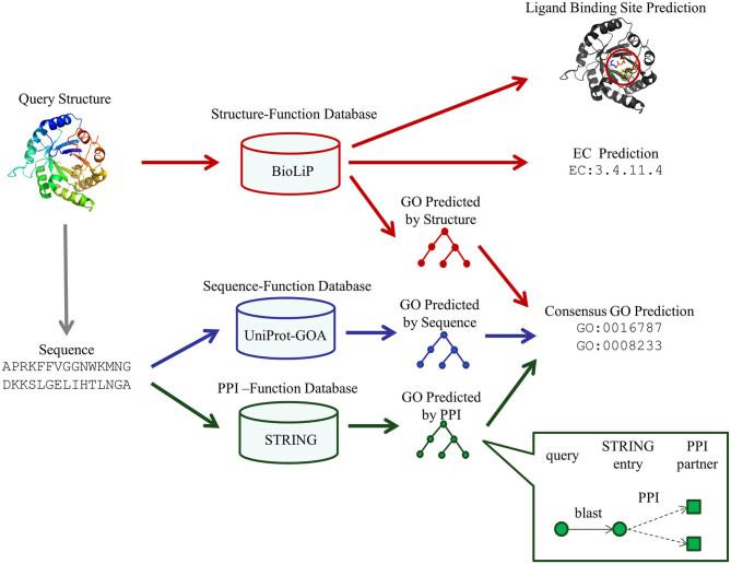 https://cdn.ncbi.nlm.nih.gov/pmc/blobs/5ec1/5793808/1281a053abed/nar_45_w1_w291_f1.jpg