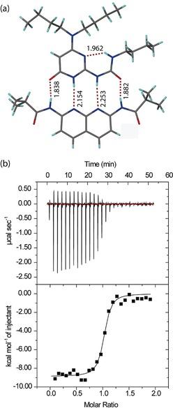 https://cdn.ncbi.nlm.nih.gov/pmc/blobs/5ec2/6563691/355d9cbb32fc/CHEM-25-785-g004.jpg