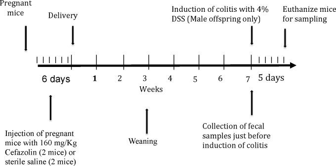 https://cdn.ncbi.nlm.nih.gov/pmc/blobs/5ec3/4659638/b62a3e538b86/pone.0142536.g001.jpg