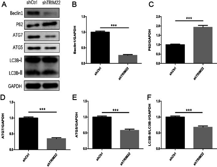 https://cdn.ncbi.nlm.nih.gov/pmc/blobs/5ec4/9805691/7836cc02ba75/12985_2022_1932_Fig8_HTML.jpg