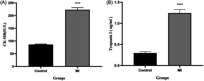 https://cdn.ncbi.nlm.nih.gov/pmc/blobs/5ec5/11232052/d723f0032e7c/HSR2-7-e2228-g005.jpg
