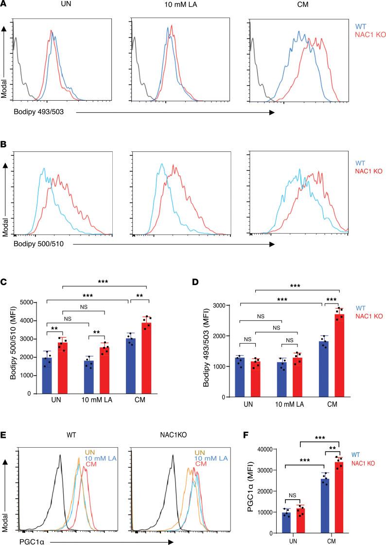 https://cdn.ncbi.nlm.nih.gov/pmc/blobs/5ec6/11949012/5fdd9ce1db4c/jciinsight-10-186000-g016.jpg