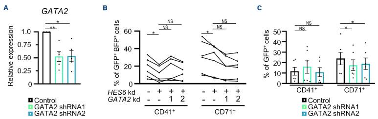 https://cdn.ncbi.nlm.nih.gov/pmc/blobs/5ec8/11532694/0a4546d07507/1093578.fig7.jpg