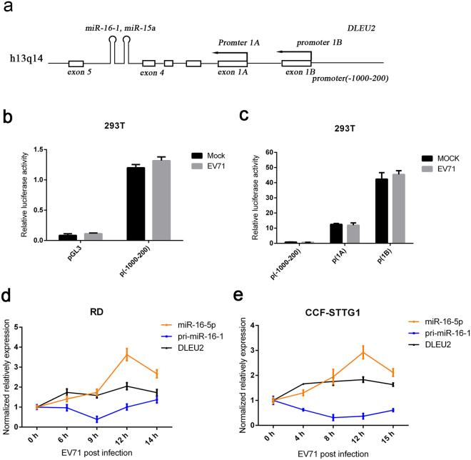 https://cdn.ncbi.nlm.nih.gov/pmc/blobs/5ec8/5703983/5e53260dab69/41598_2017_16616_Fig2_HTML.jpg