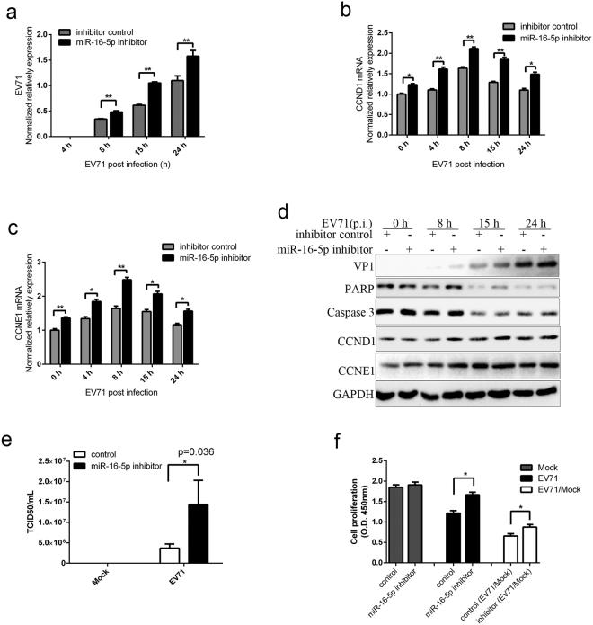 https://cdn.ncbi.nlm.nih.gov/pmc/blobs/5ec8/5703983/e2fea41453ee/41598_2017_16616_Fig6_HTML.jpg