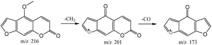 https://cdn.ncbi.nlm.nih.gov/pmc/blobs/5ec8/6152310/e940c447bb3d/molecules-22-01231-g009.jpg
