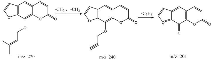 https://cdn.ncbi.nlm.nih.gov/pmc/blobs/5ec8/6152310/efd13e5056f0/molecules-22-01231-g011.jpg