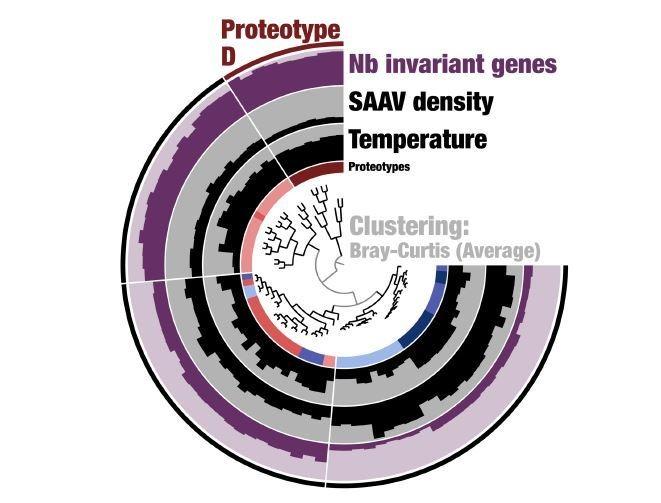 https://cdn.ncbi.nlm.nih.gov/pmc/blobs/5ec8/6721796/7d5e469acbf7/elife-46497-resp-fig3.jpg