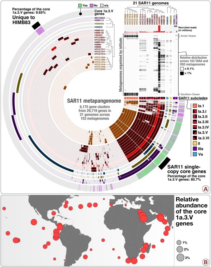 https://cdn.ncbi.nlm.nih.gov/pmc/blobs/5ec8/6721796/d4d6ef78f31a/elife-46497-fig1.jpg