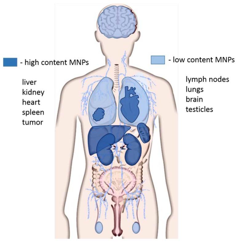 https://cdn.ncbi.nlm.nih.gov/pmc/blobs/5ec8/7148517/8268e1217586/biomedicines-08-00059-g003.jpg