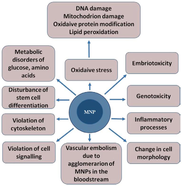 https://cdn.ncbi.nlm.nih.gov/pmc/blobs/5ec8/7148517/96311341ea6e/biomedicines-08-00059-g002.jpg