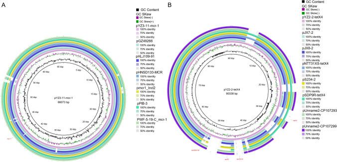 https://cdn.ncbi.nlm.nih.gov/pmc/blobs/5ec9/11129972/56149c61cd83/253_2024_13191_Fig5_HTML.jpg